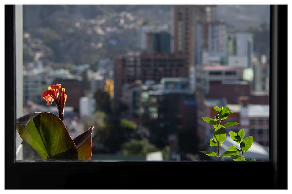 Casa Grande Express Otel La Paz Oda fotoğraf